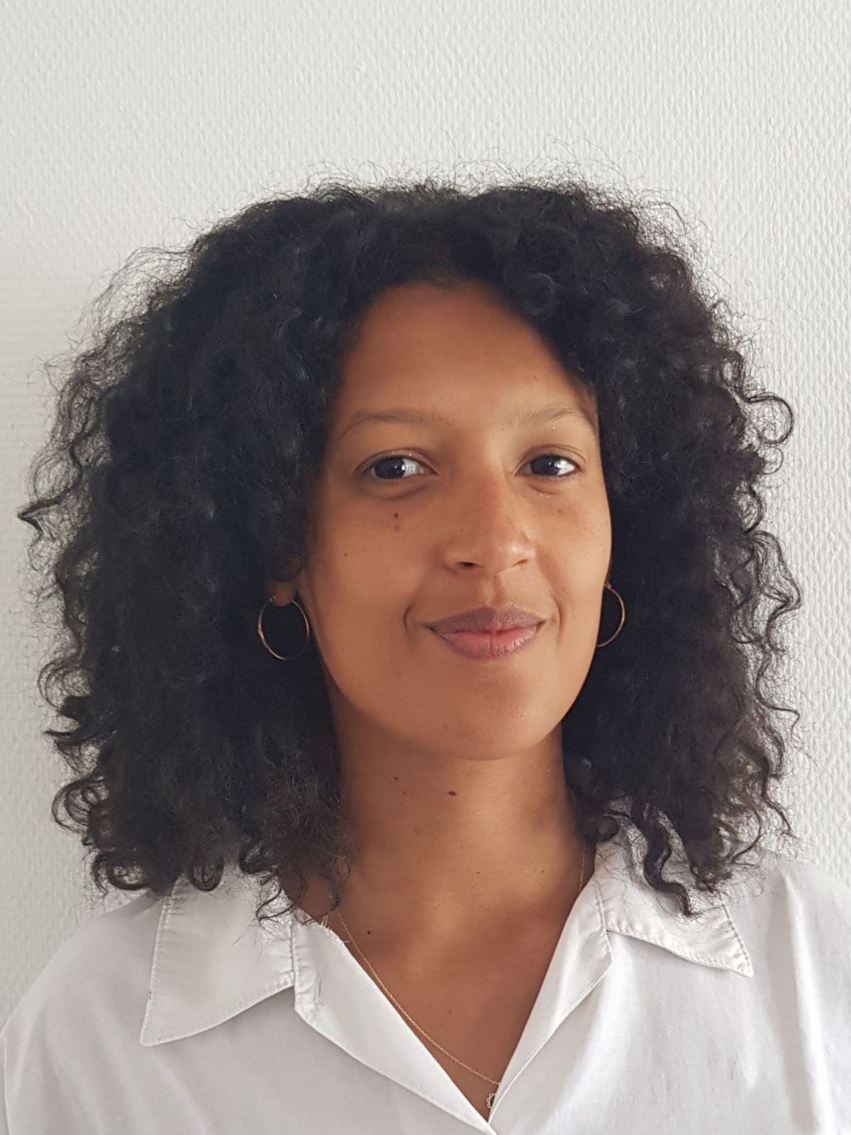 Chercheure QUETU Zoé - LAM